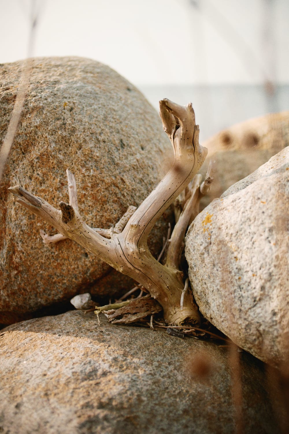 Joakim Hertze — Swedish portrait and editorial photographer — Anna Hertze, Malmö, 2025, image 7