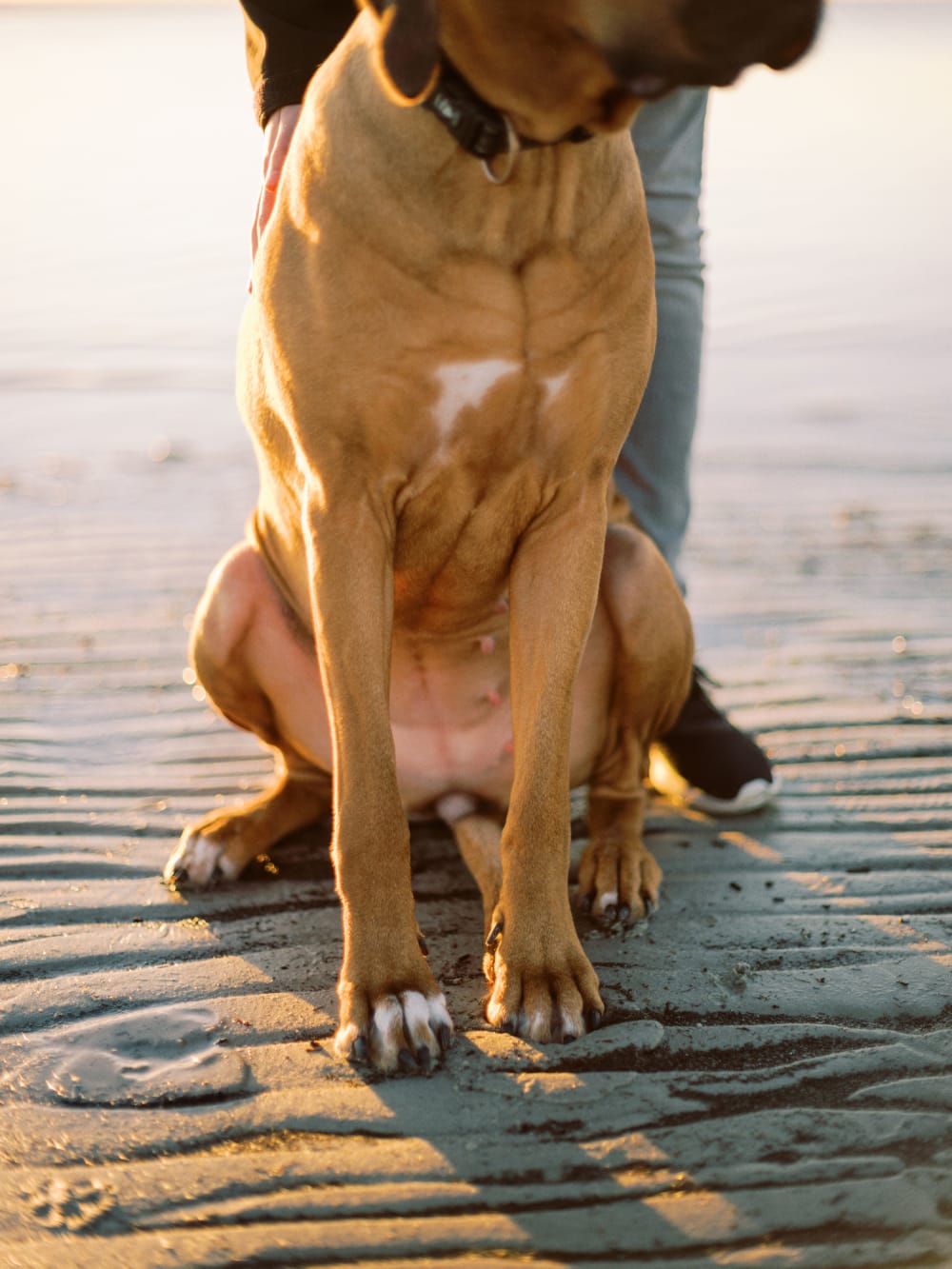 Joakim Hertze — Swedish portrait and editorial photographer — Hertzes, Lomma, 2022, image 4