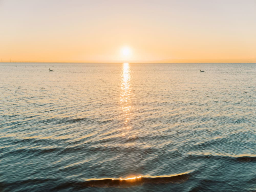 Joakim Hertze — Swedish portrait and editorial photographer — Hertzes, Lomma, 2022, image 5