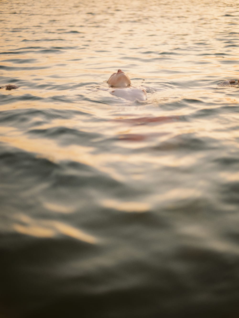 Joakim Hertze — Swedish portrait and editorial photographer — Alfred, Skummeslövstrand, 2022, image 1