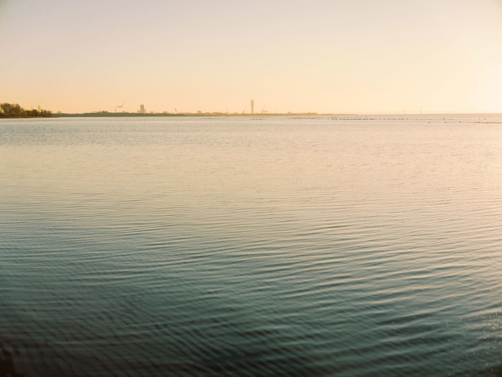 Joakim Hertze — Swedish portrait and editorial photographer — Hertzes, Lomma, 2022, image 1