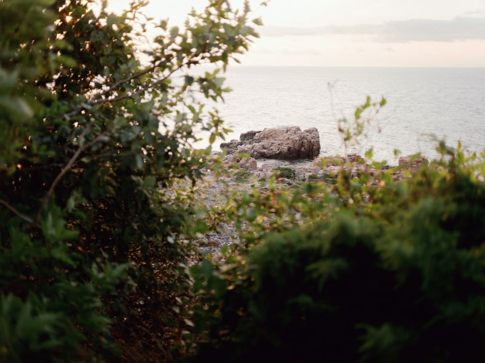 Joakim Hertze — Swedish portrait and editorial photographer — Summer evening, Hovs Hallar, 2025, image 2