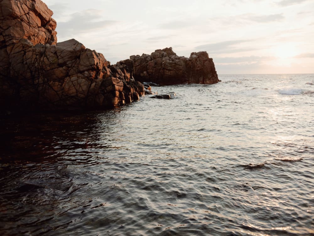 Joakim Hertze — Swedish portrait and editorial photographer — Summer evening, Hovs Hallar, 2025, image 3