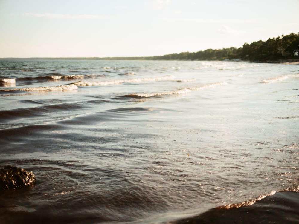 Joakim Hertze — Swedish portrait and editorial photographer — Revhaken, Åhus, 2024, image 2