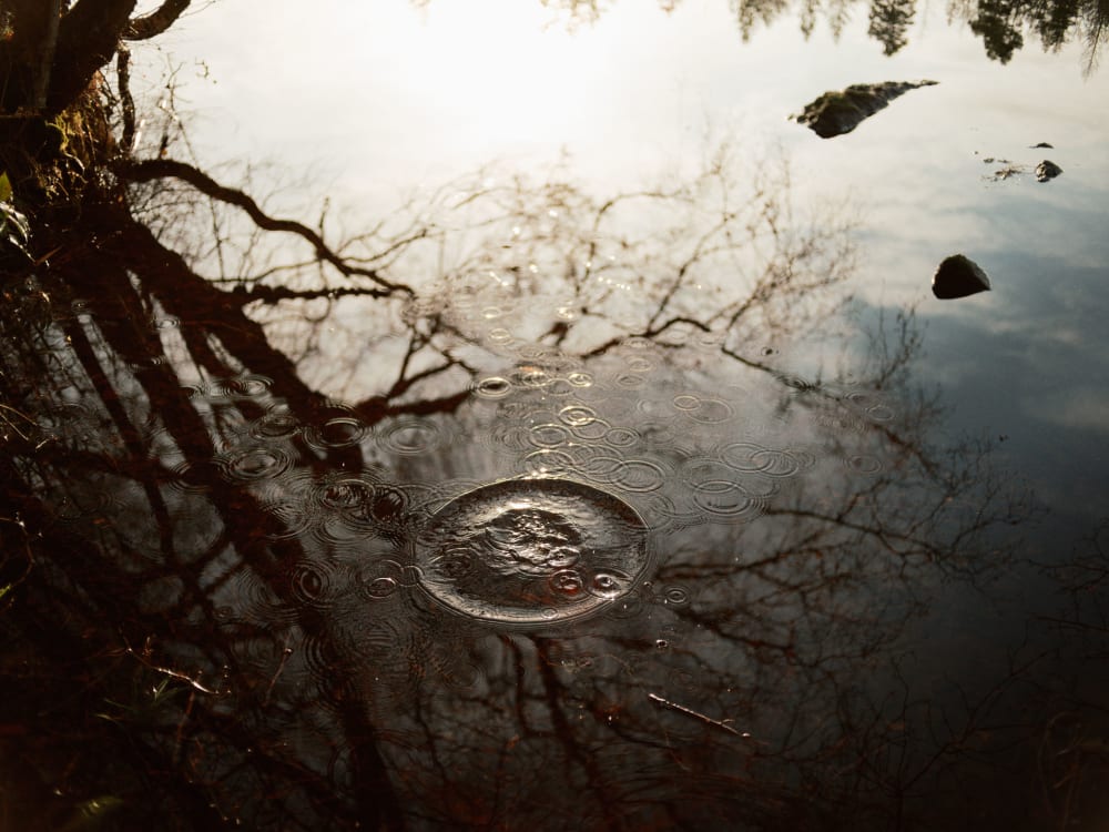 Joakim Hertze — Swedish portrait and editorial photographer — Family Christmas, Karlskrona, 2024, image 6