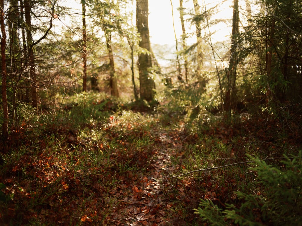 Joakim Hertze — Swedish portrait and editorial photographer — Family Christmas, Karlskrona, 2024, image 10