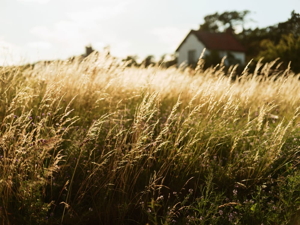 Joakim Hertze — Swedish portrait and editorial photographer — Revhaken, Åhus, 2024, image 1
