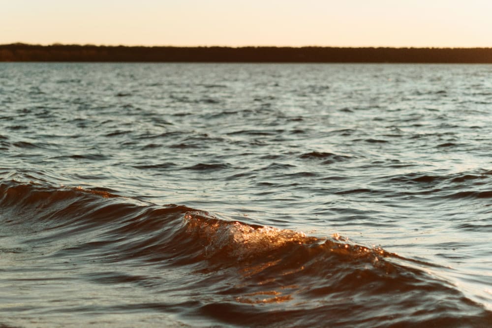 Joakim Hertze — Swedish portrait and editorial photographer — Evening at Vombsjön, 2024, image 1