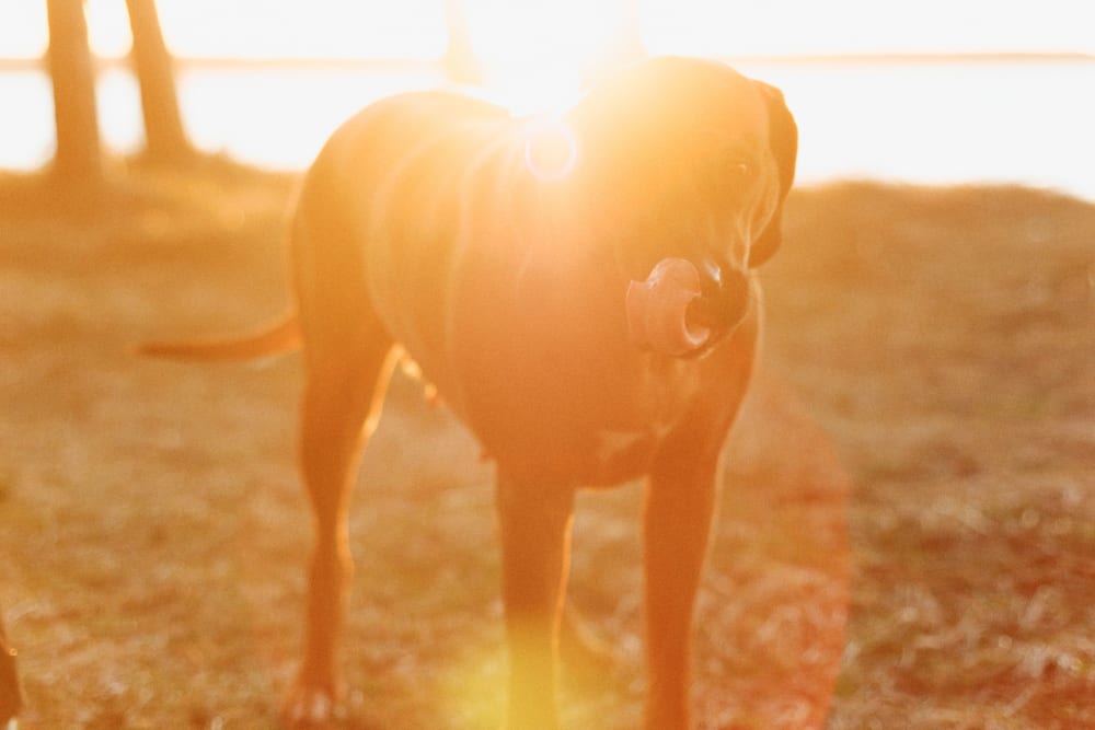 Joakim Hertze — Swedish portrait and editorial photographer — Evening at Vombsjön, 2024, image 7