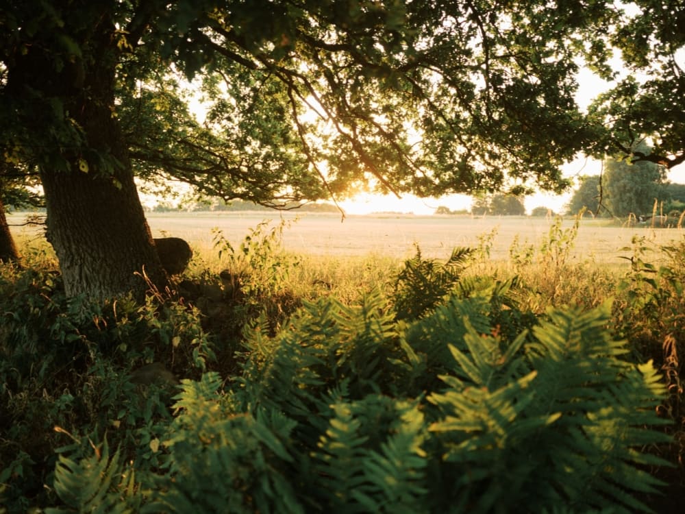Joakim Hertze &mdash; Swedish portrait and editorial photographer &mdash; Sunrise, image 9