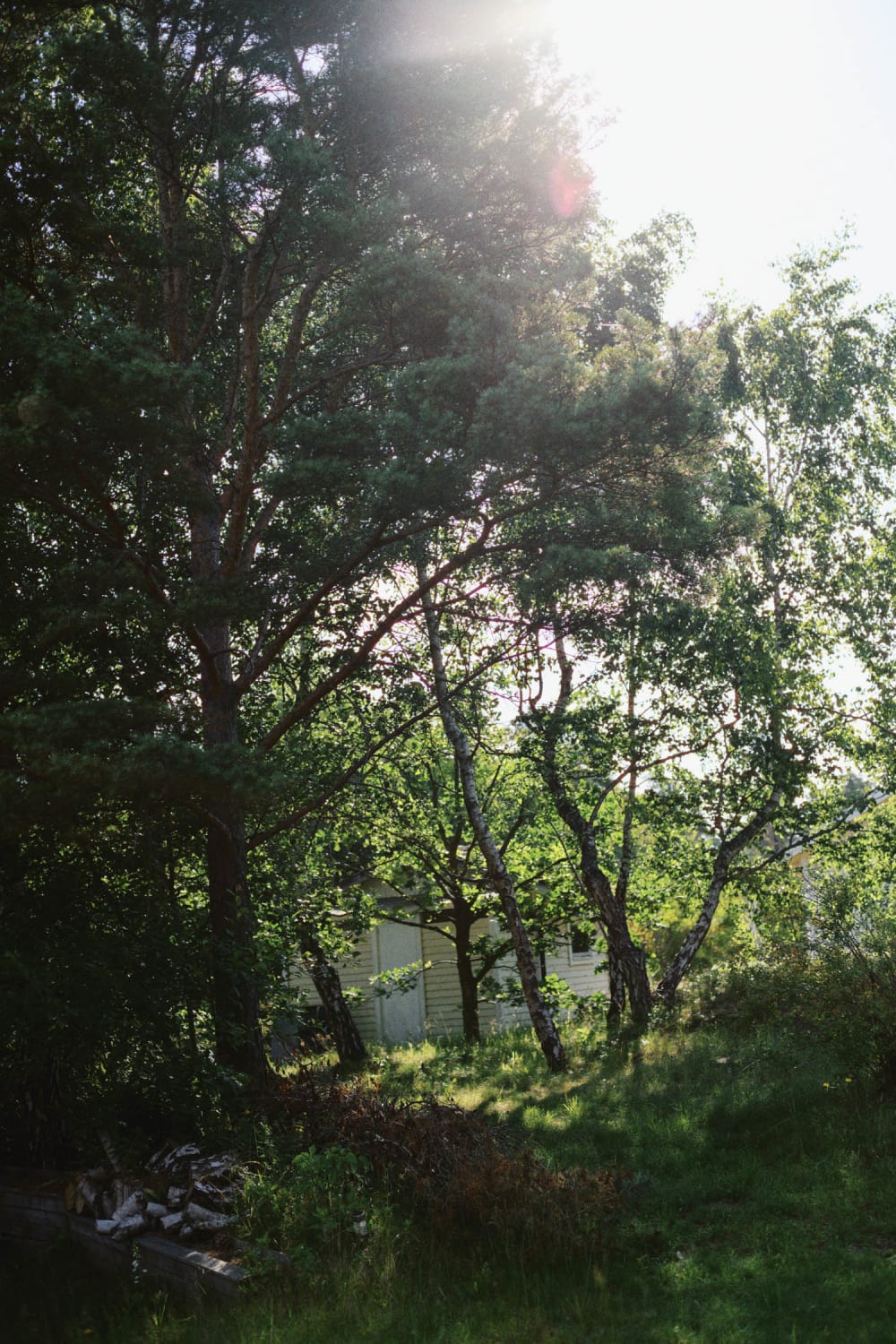Joakim Hertze &mdash; Swedish portrait and editorial photographer &mdash; Ephemeral, image 15