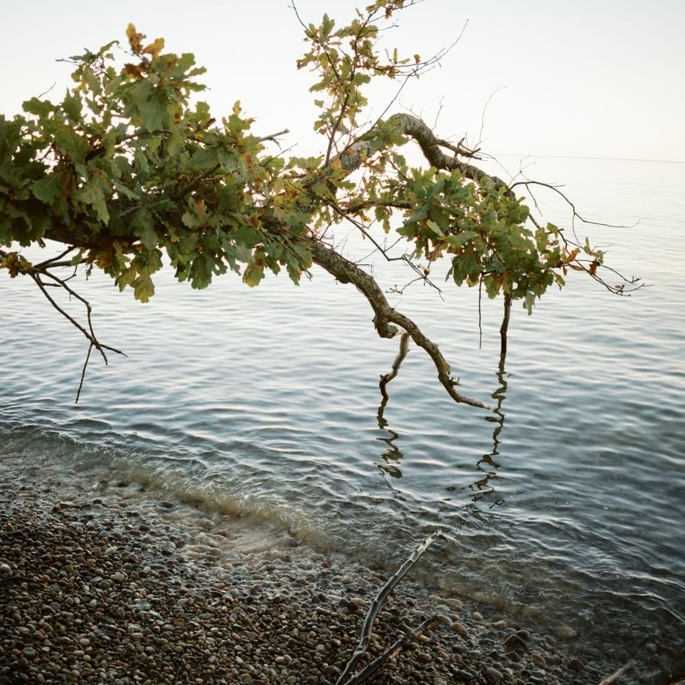 Joakim Hertze &mdash; Swedish portrait and editorial photographer &mdash; Knäbäckshusen, image 7