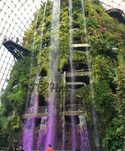 Singapore Stories