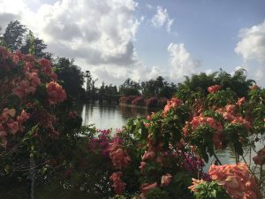 Day Trip : Silvassa