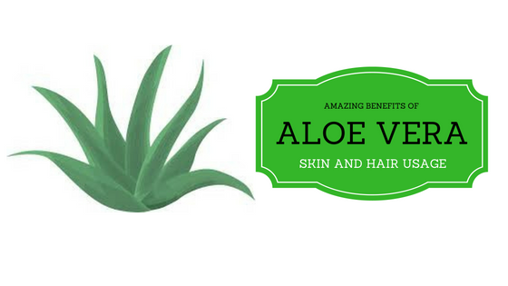 ALOE VERA BENEFITS