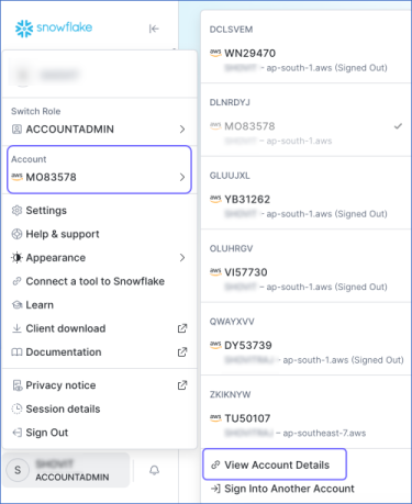 Click View Account Details