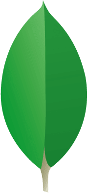 MongoDB
