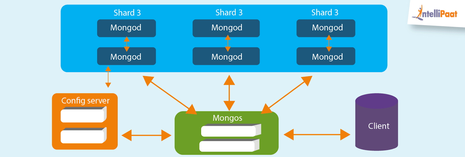 MongoDB vs Snowflake: MongoDB Architecture