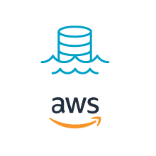 AWS Data Lake Logo