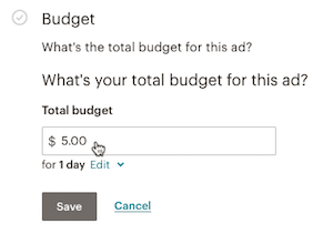 Selecting Budget in Miailchimp