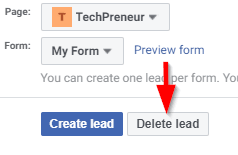Executing the Delete Lead Command