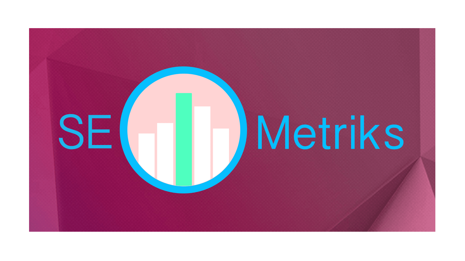 SEO Metriks PLatform for Shopify SEO Tools