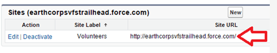 Salesforce Website Integration: Sites in Salesforce