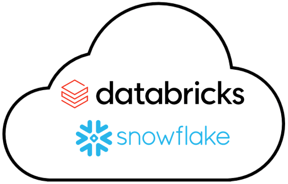 Databricks Snowflake Integration