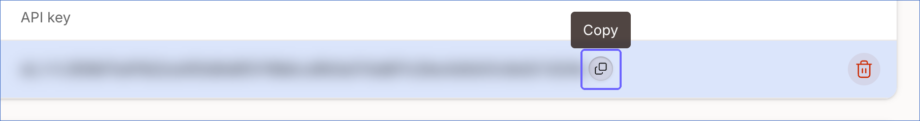 Copy API key