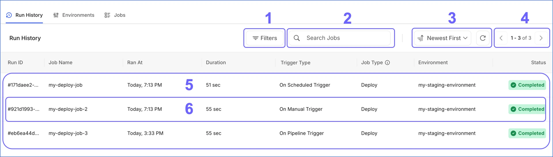 Run History Tab
