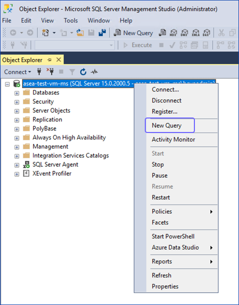 SQL New Query