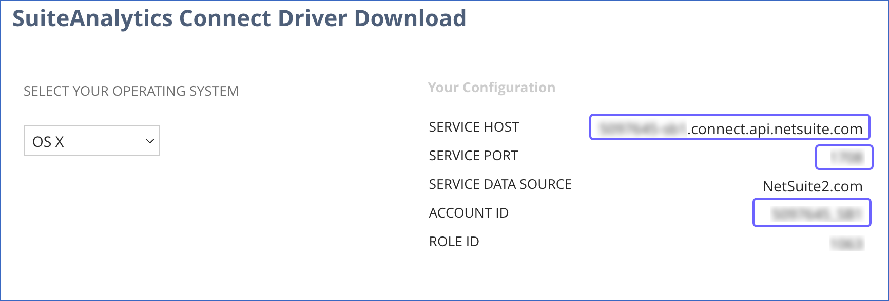 SuiteAnalytics Connect config