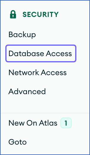 Database Access