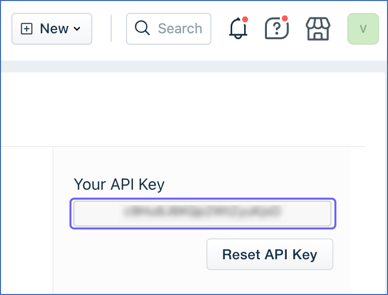 Copy API key