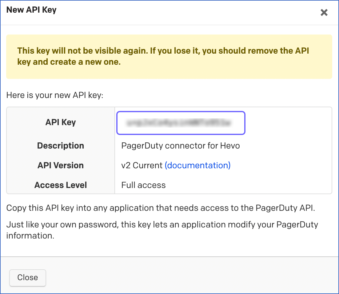 Copy API Key