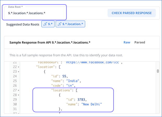 Raw API Response