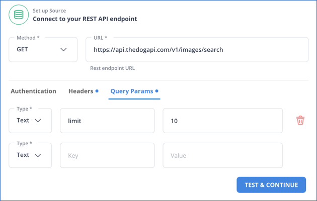 Text Query Params