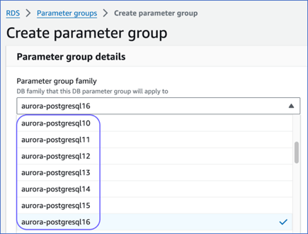 Parameter Group Family