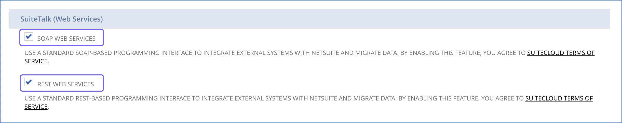 NetSuite to SQL Server: Enable Web Services Features