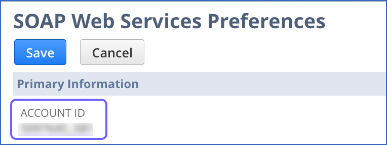 NetSuite to SQL Server: Extracting Account ID