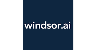 Supermetrics Alternative: windsor logo | Hevo Data