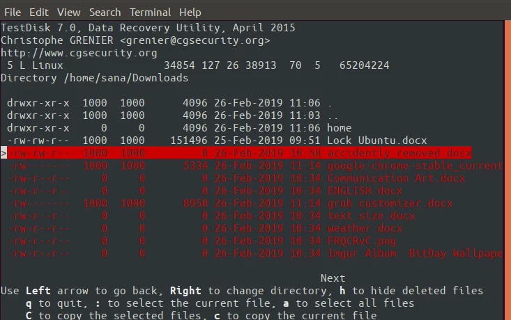 Data Recovery Tools - TestDisk Linux | Hevo Data