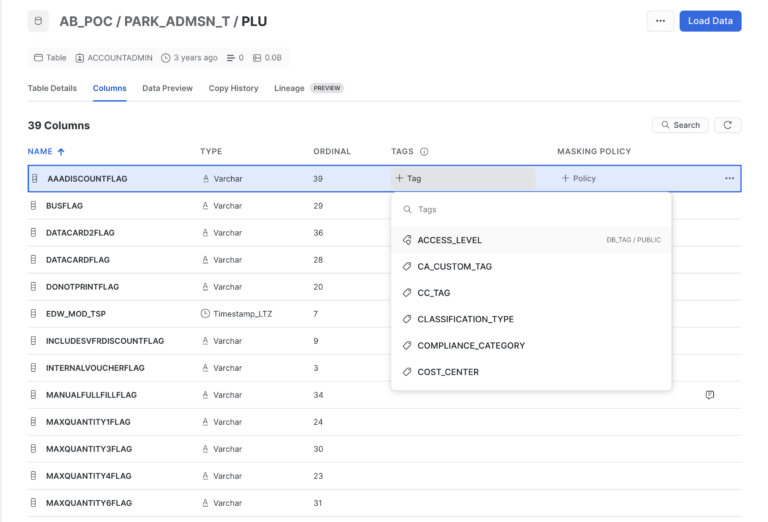 Snowflake Data Governance: Applying Tags and Policies to Objects