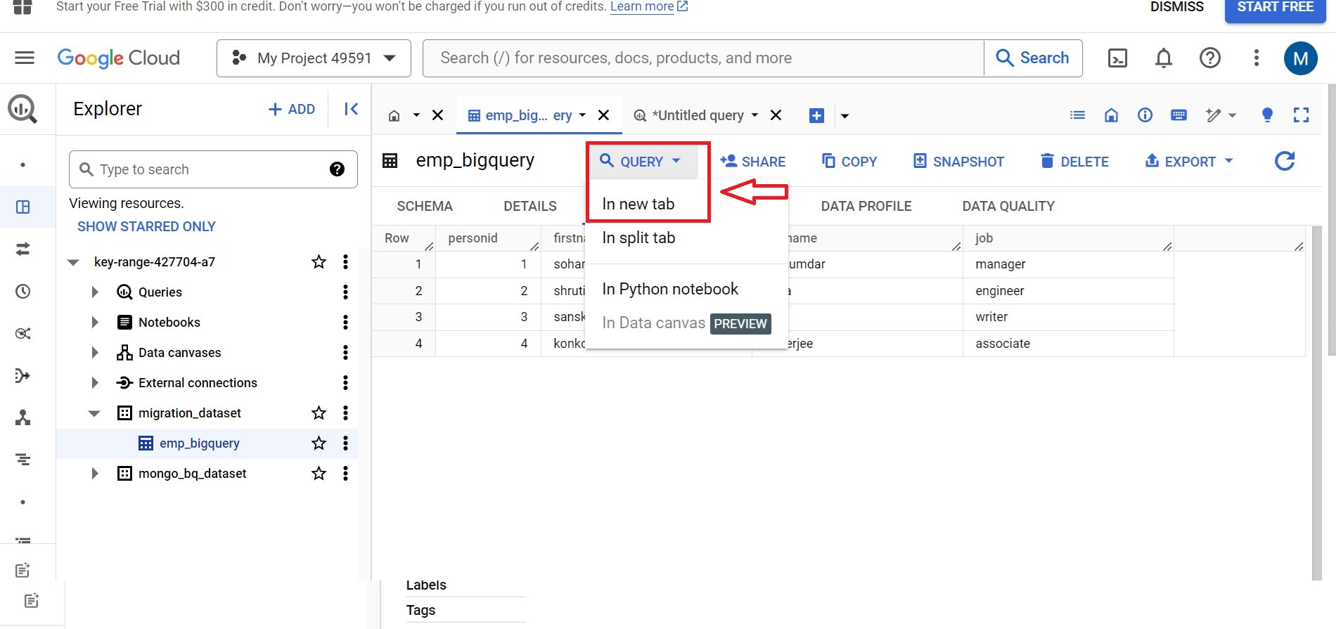 Query table option