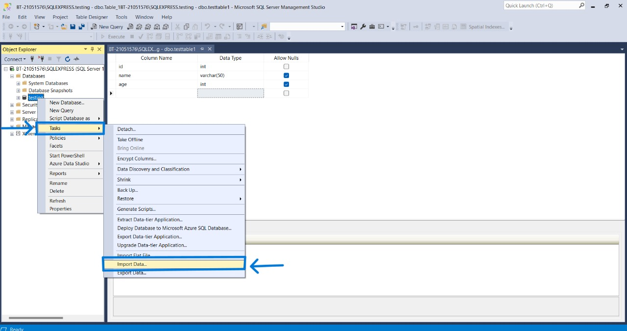 Import Data selection in SSMS
