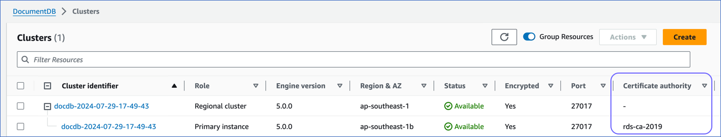 Identify DocumentDB Instance