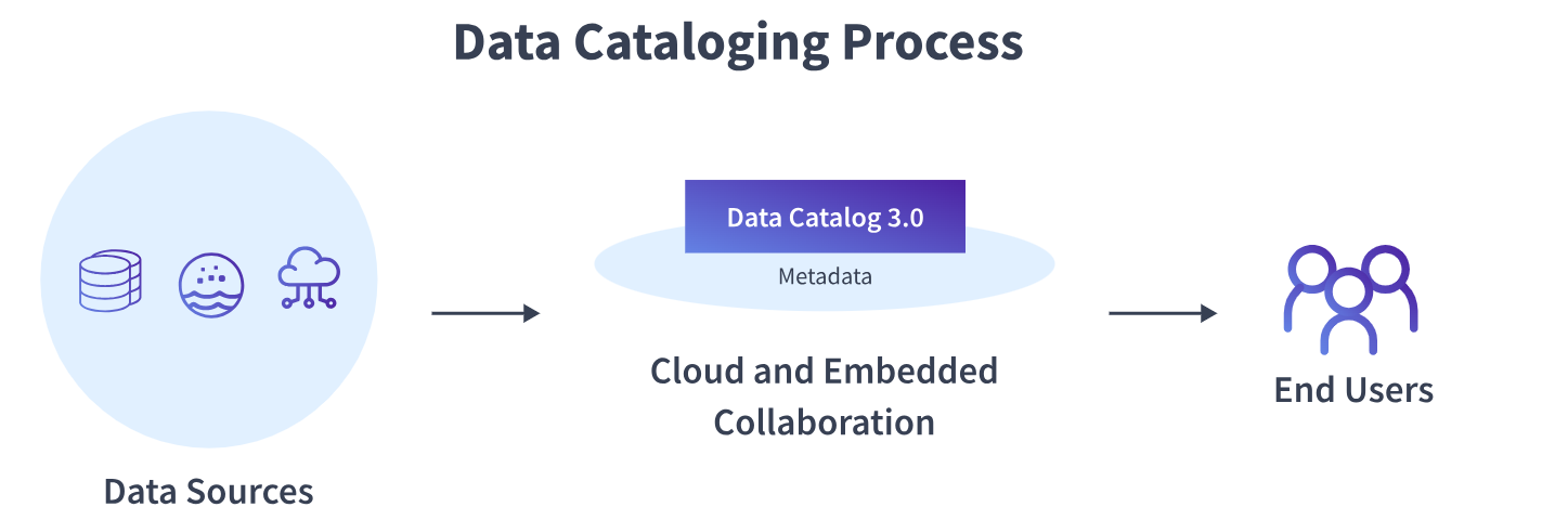 data cataloging process
