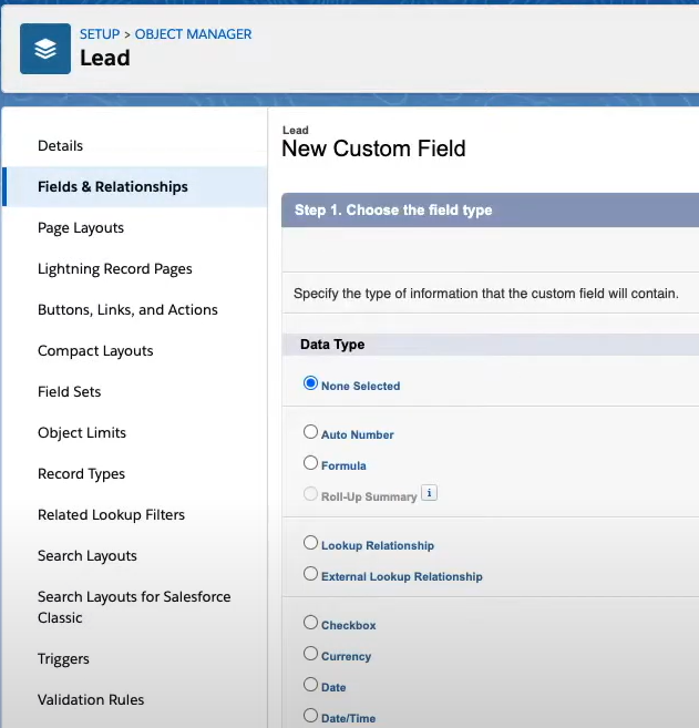 Salesforce Custom Fields