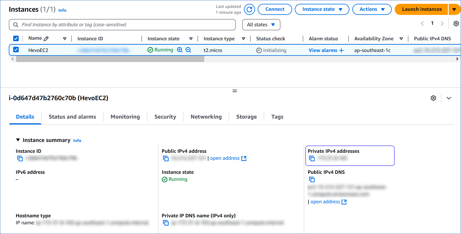 Private IPv4 address