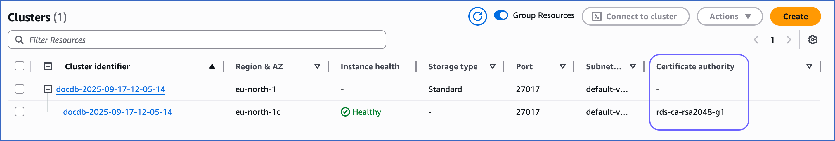 Identify DocumentDB Instance